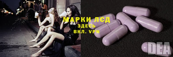 хмурый Алексин