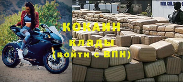 хмурый Алексин